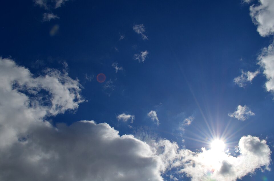 Summer nature sunshine