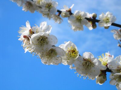 Blue sky blue white