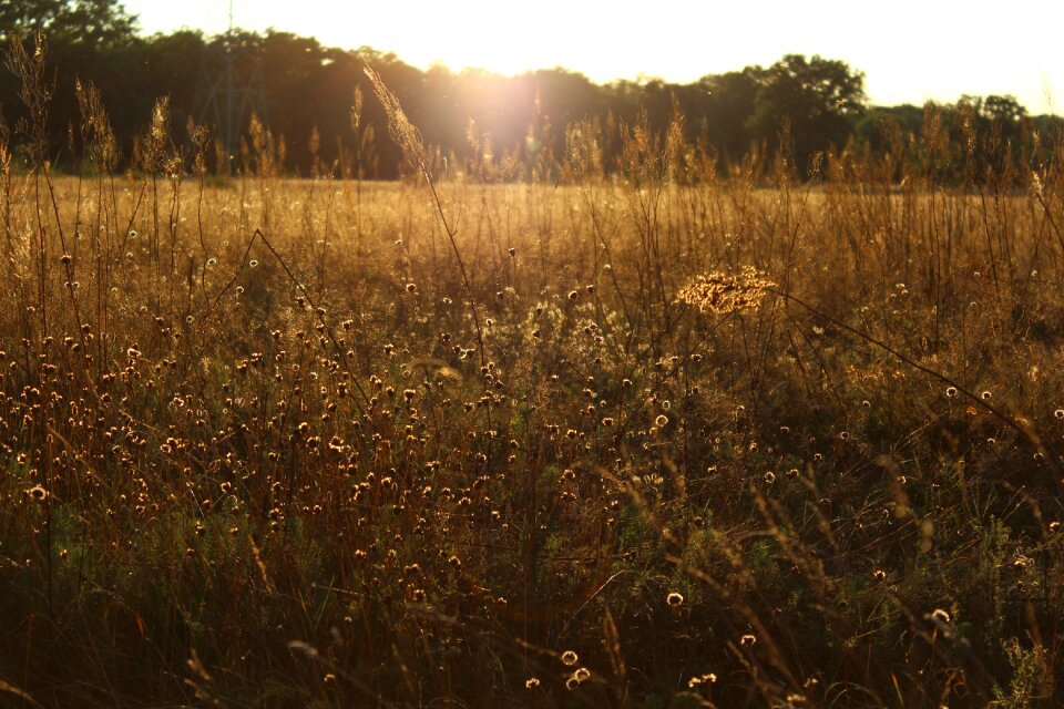 Mood nature abendstimmung