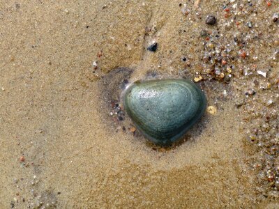 Heart sea pebble photo