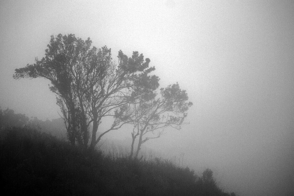 Contrasts cold winter