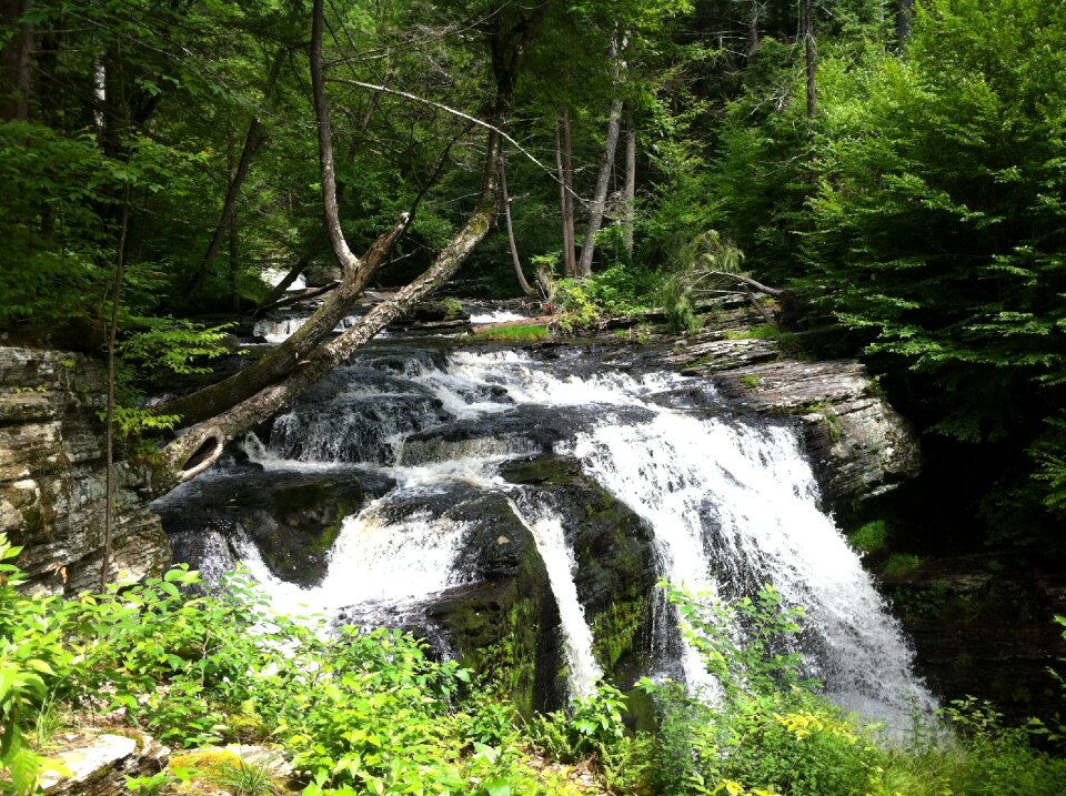 Landscape stream green