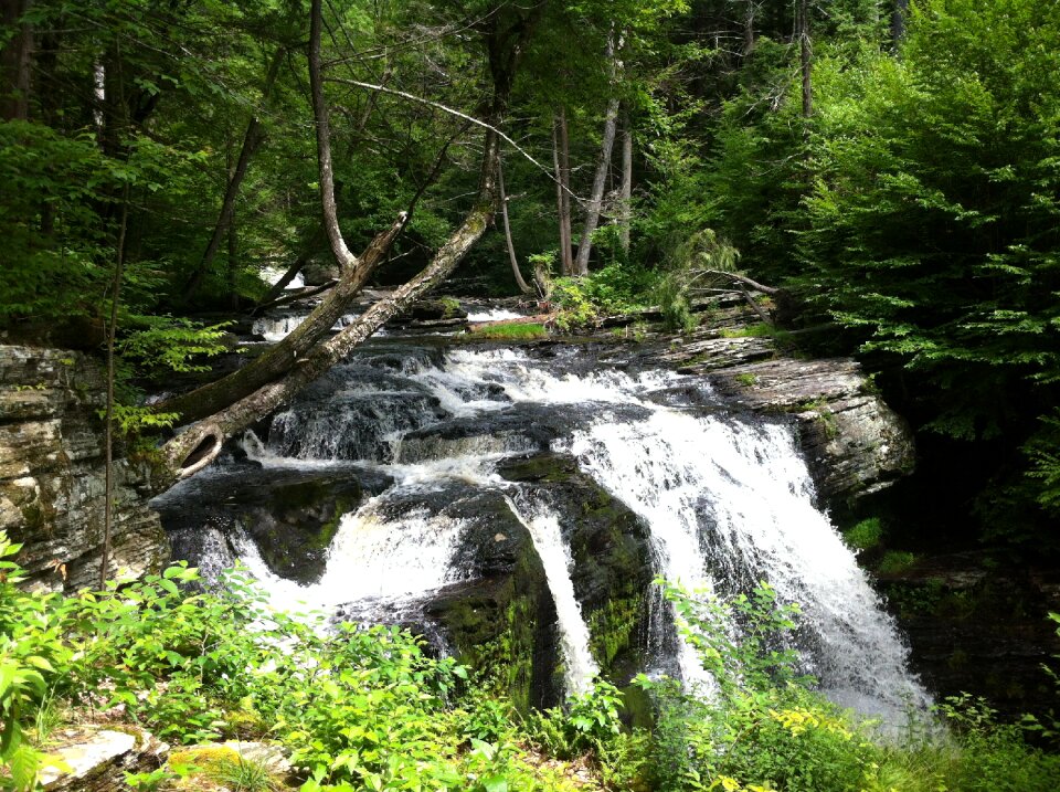 Landscape stream green photo