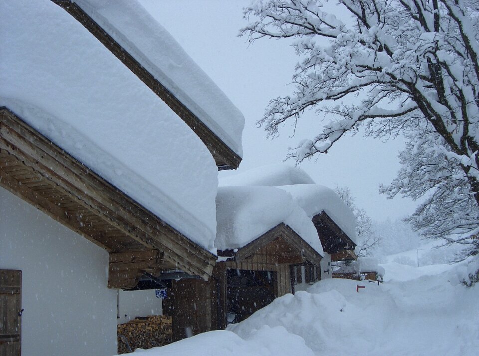 Winter wintry cold