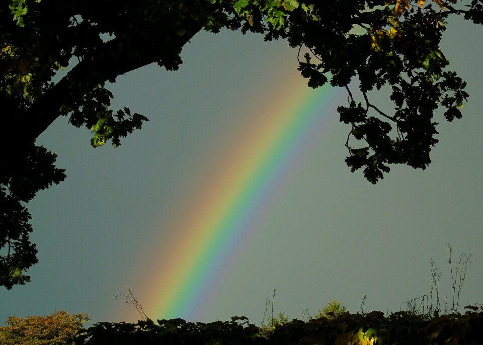 Color spectrum regenwand