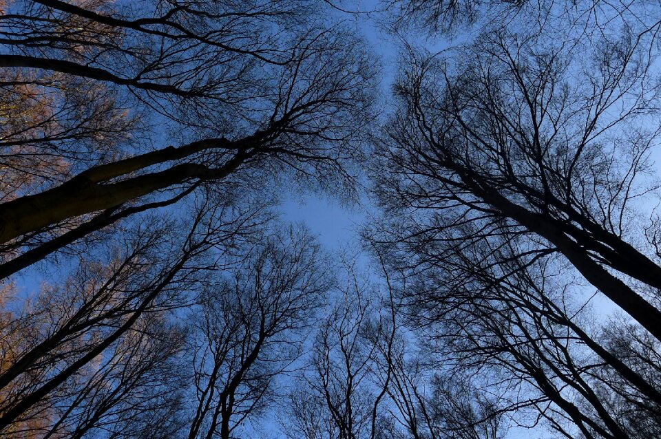 Winter sky