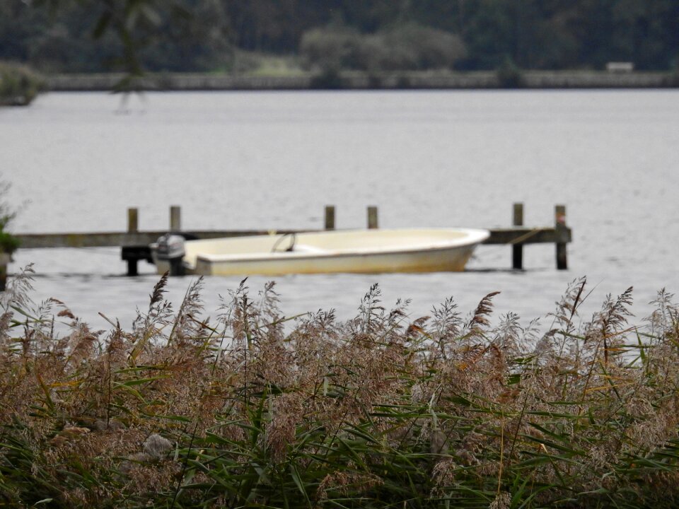 Powerboat sea grass grass