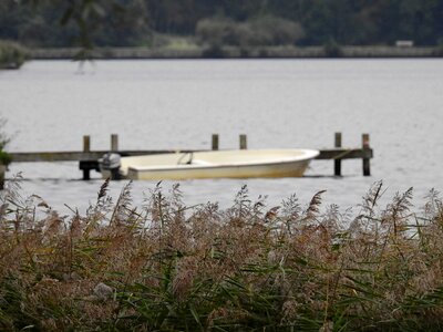 Powerboat sea grass grass photo