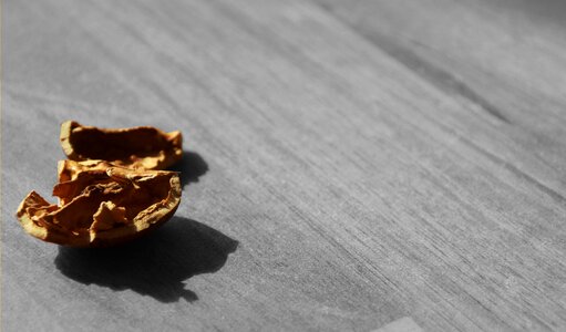 Shell eat broken up