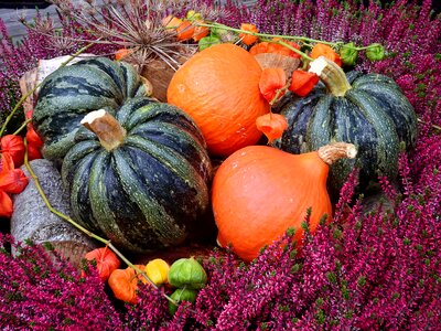 Decoration autumn vegetables