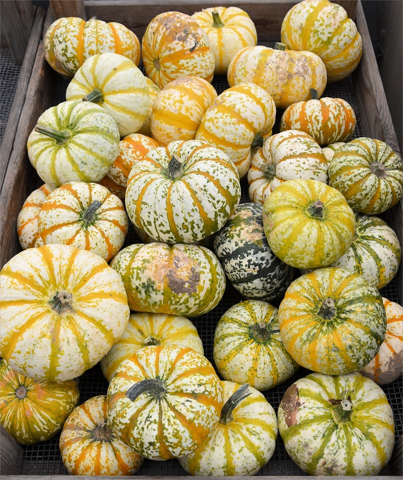 Juicy food ripe