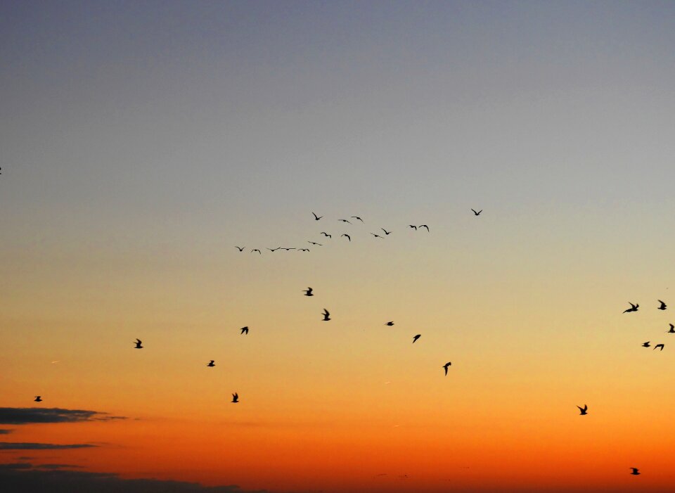 Netherlands background abendstimmung