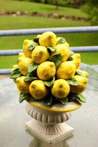 Fruit citrus green photo
