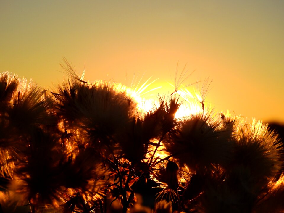 Netherlands background abendstimmung