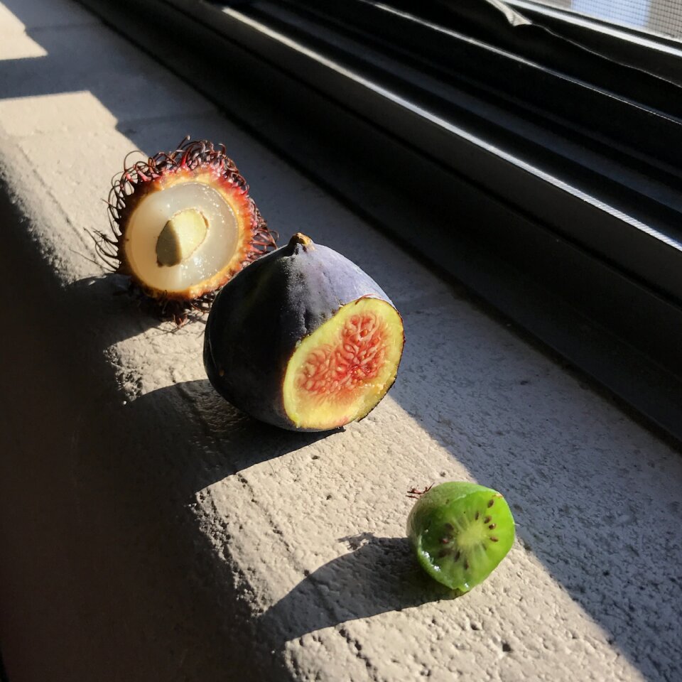 Tropical exotic fruit