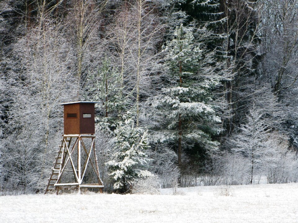 The pulpit shooting čekaná