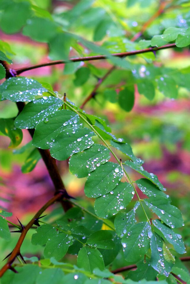 Wet drops water