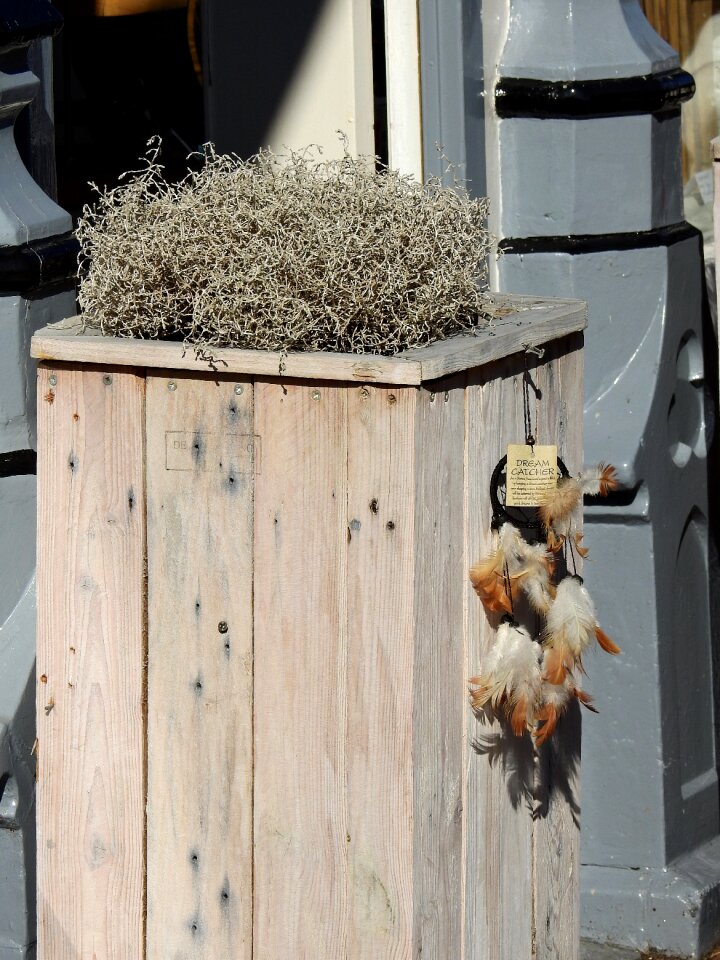 Plant pots wood deco