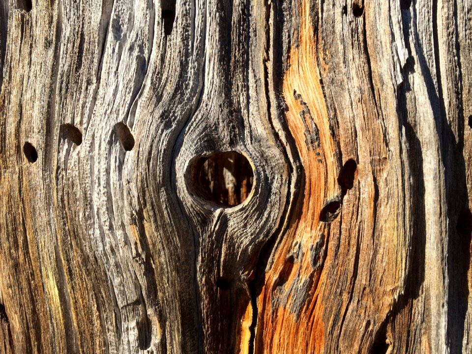Texture brown hole