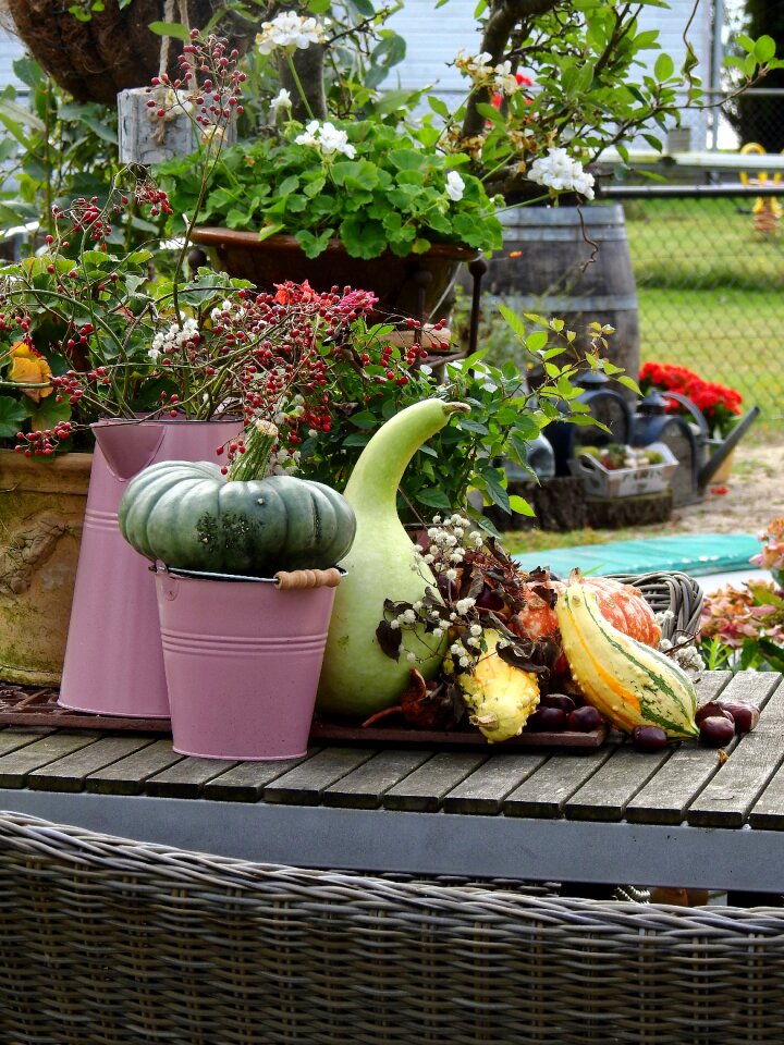 Garden deco decoration