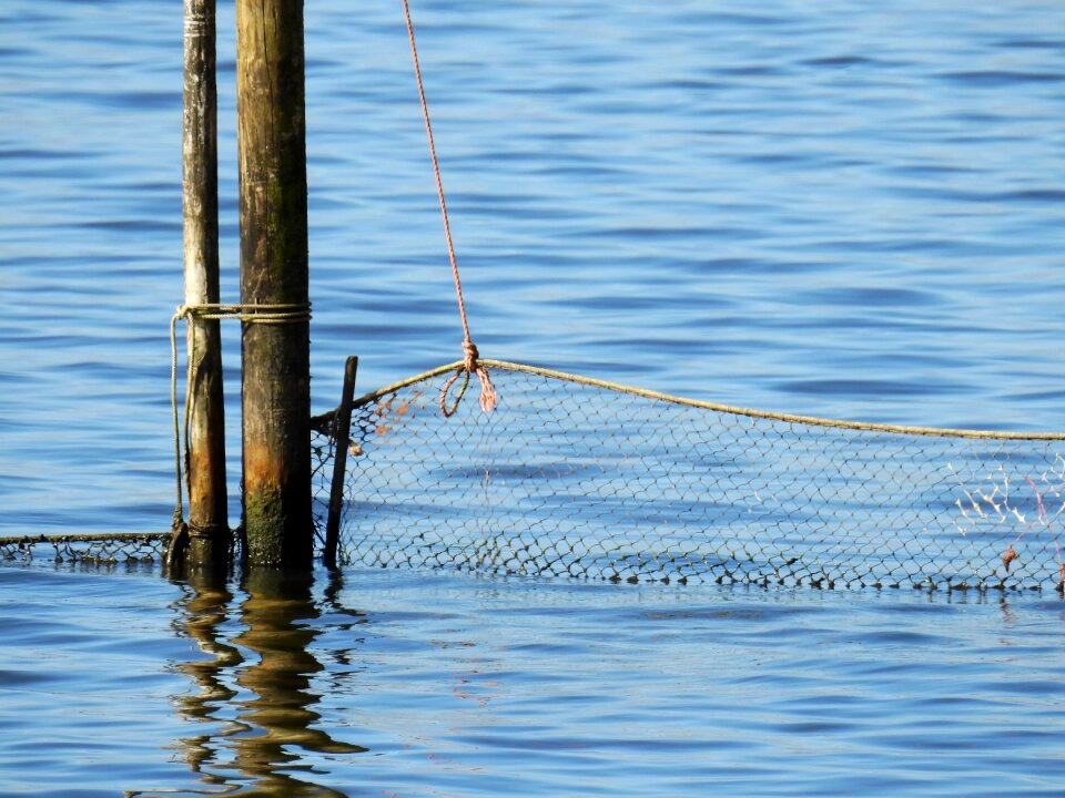 Landscape north sea holland