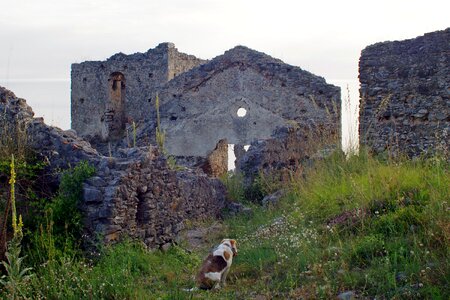 Calabria italy cirella ancient