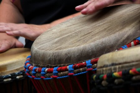 Djembe musician instrument