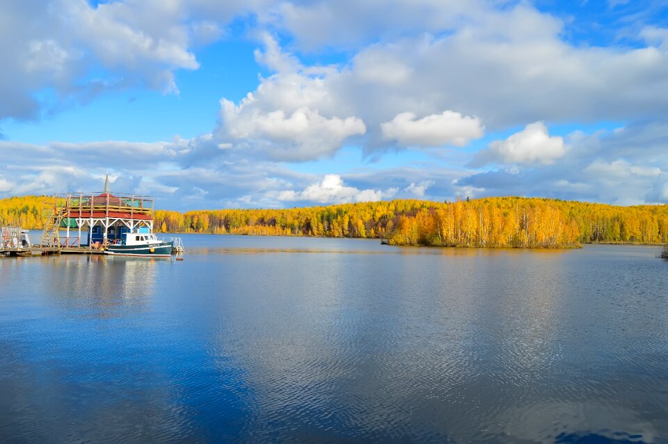 Boat water forest