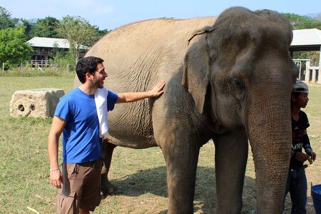 Touch ferm big animal