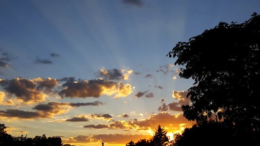 Natural rays scene