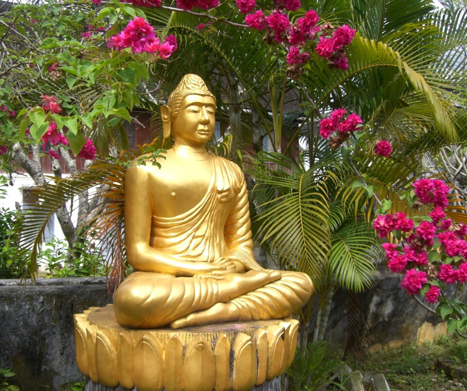 Gold rest meditation