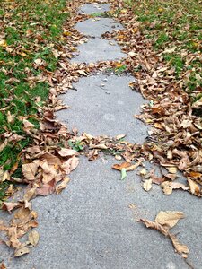 Leaves sidewalk