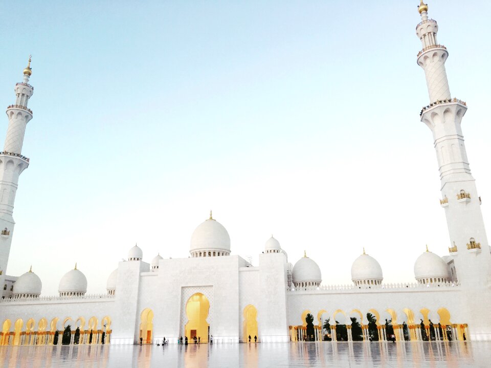 Beauty zayed