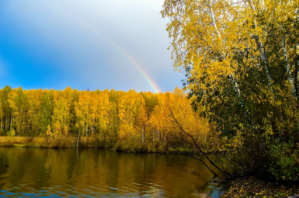Blue sky nature landscape