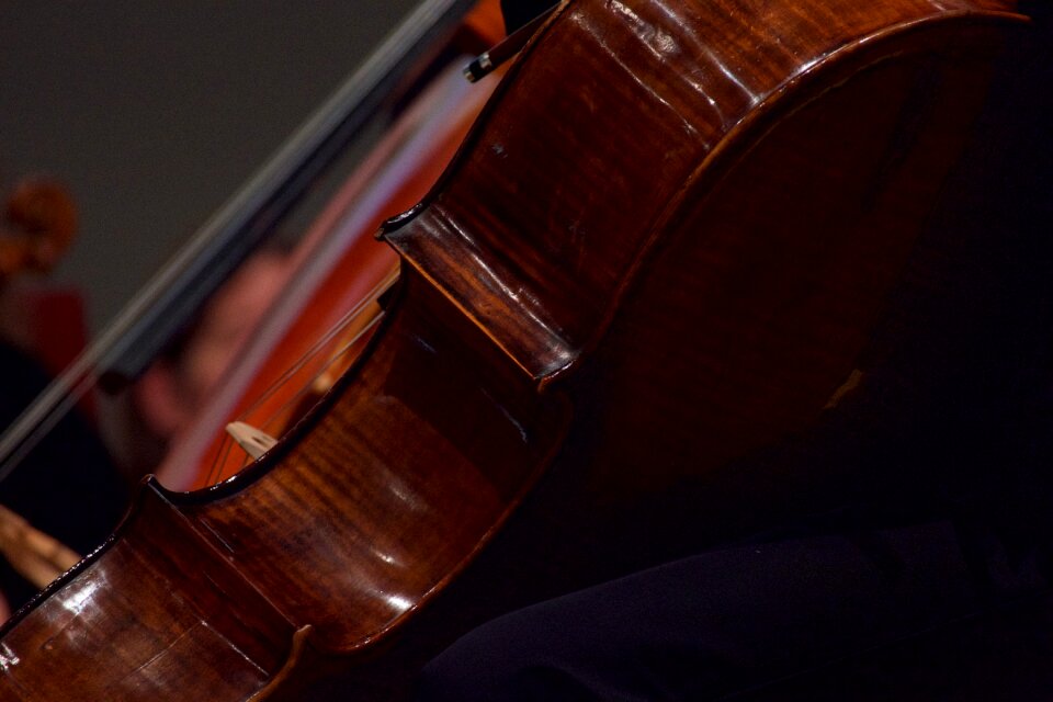 Cello musical instrument Free photos