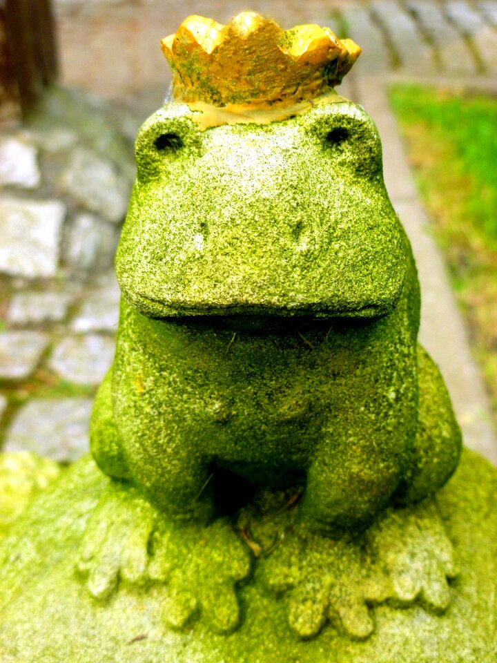 Crown figure animal