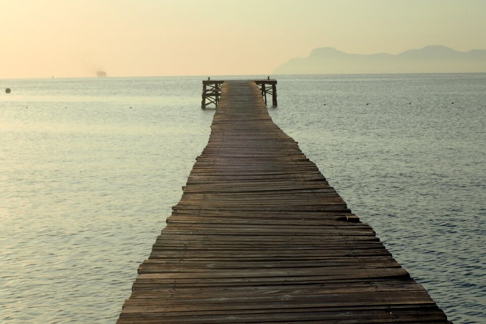 Water boardwalk woods