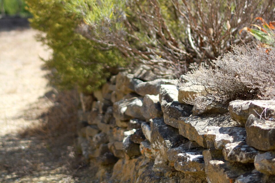 Natural outdoor environment