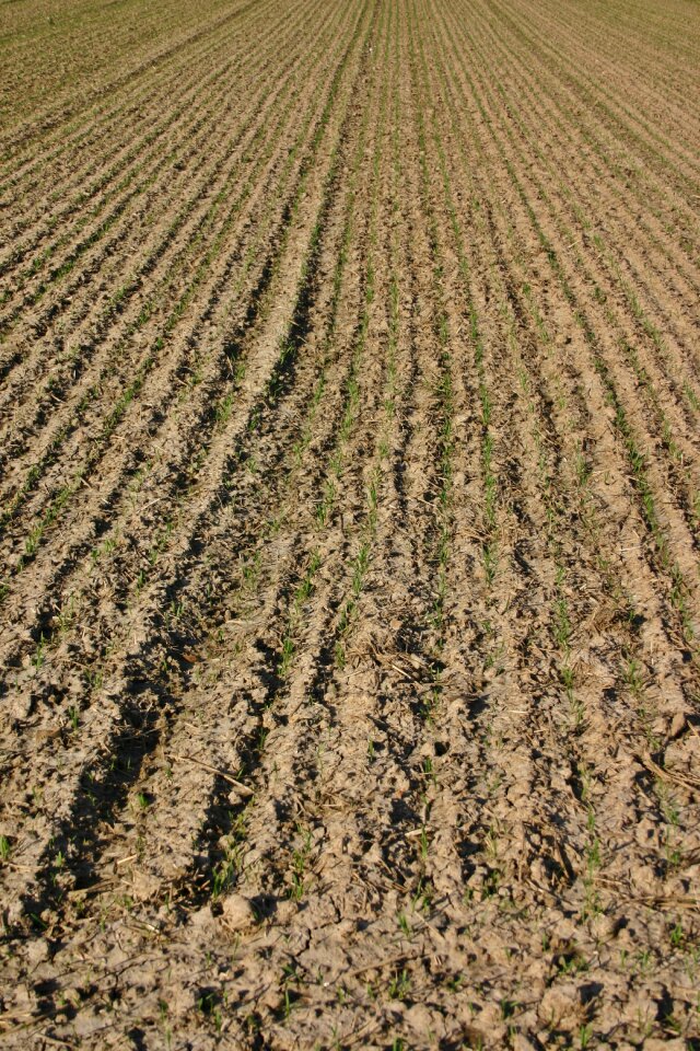 Cultivation agriculture earth