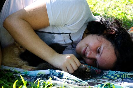 Kittens woman playing with cats woman lying in grass photo