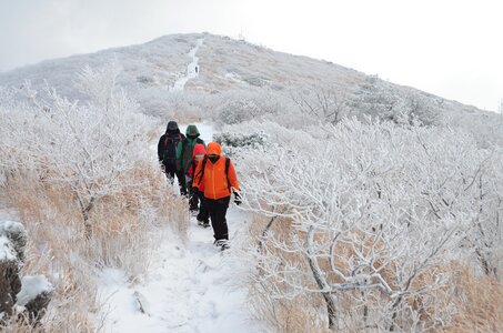 Ulsan people winter