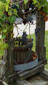 Autumn harvest countryside