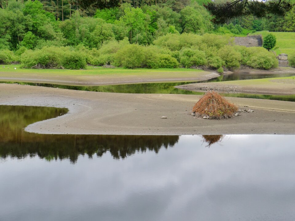 Park nature calm