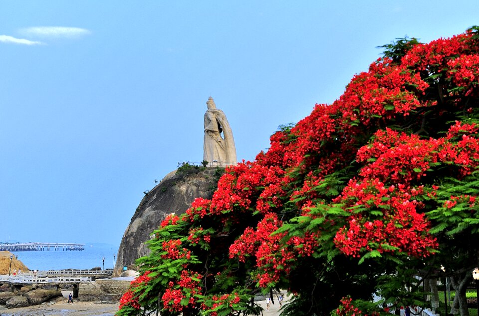 Xiamen gulangyu island scenery
