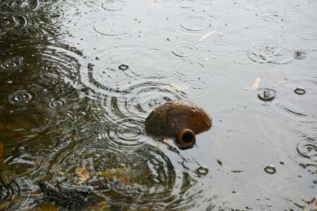 Wok flood rain photo