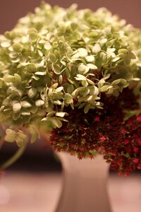 Birthday bouquet celebration deco