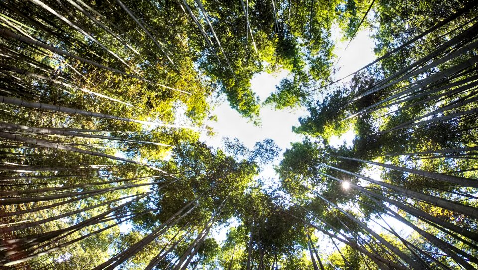 Nature green spirituality