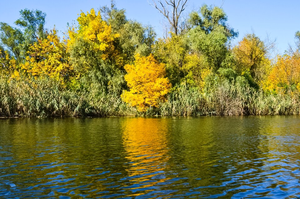 Dnieper nature river