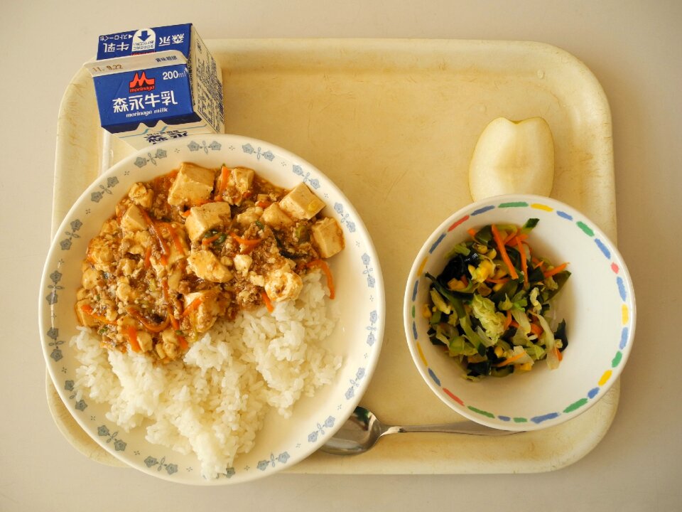 Japanese school lunch japan brown school
