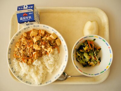 Japanese school lunch japan brown school photo